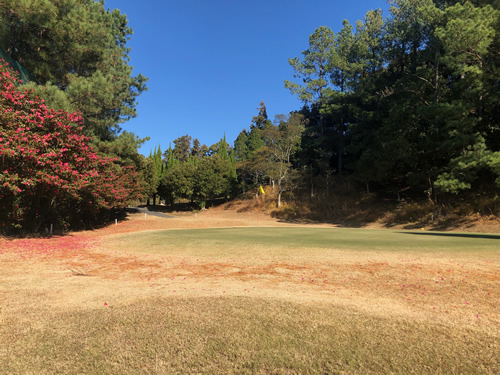 亀の子ショートコース